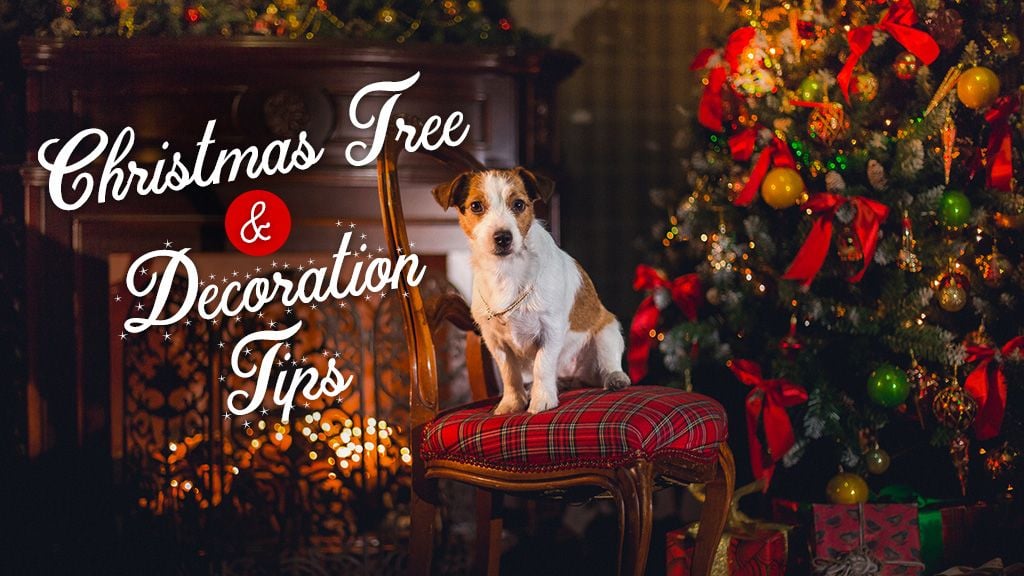 Decorating Tips for a Pet-Safe Christmas Decorating Tips for a Pet-Safe Christmas